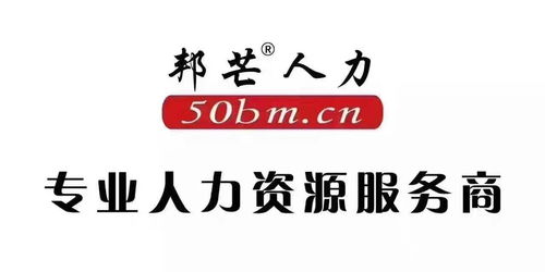 專業(yè)人力資源服務 從勞務外包到軟件外包的全方位解決方案